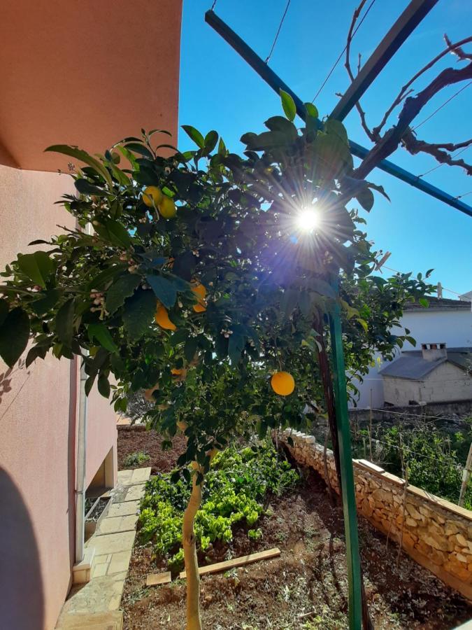 Apartments Ljulj Trogir Dış mekan fotoğraf